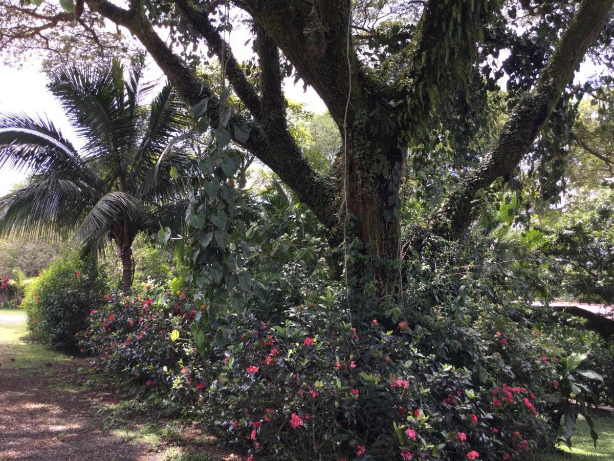 Villas El Cenizaro La Garita  外观 照片
